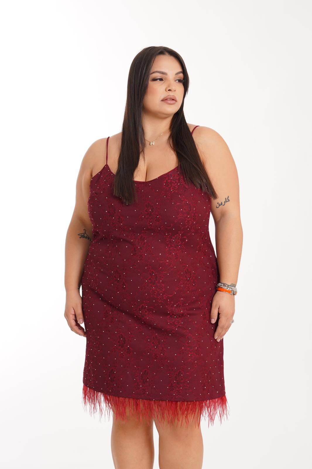 Dress in pizzo Meraviglia bordeaux